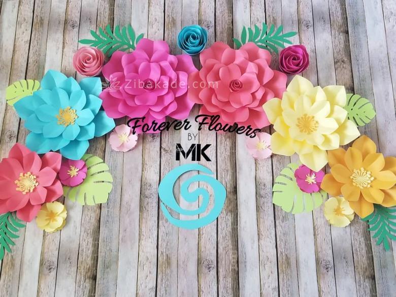 تم تولد موآنا - Moana